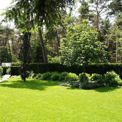 2450 villatuin Bosch en duin van dijk tuinen