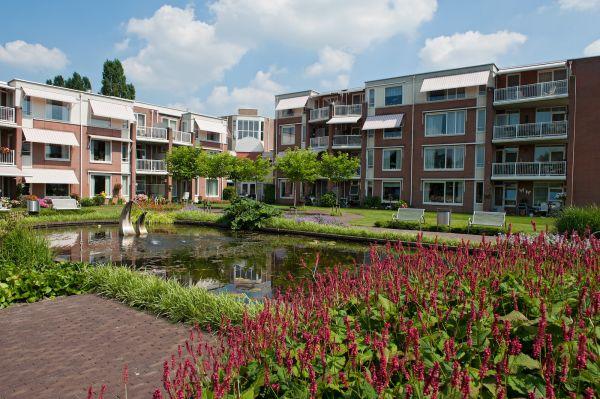4439 centrum elwoud ijsselstijn van dijk tuinen 4439 centrum elwoud ijsselstijn van dijk tuinen