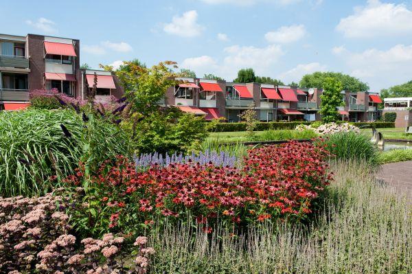 4443 centrum elwoud ijsselstijn van dijk tuinen 4443 centrum elwoud ijsselstijn van dijk tuinen