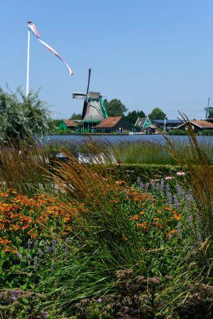 7380 tuin aan de zaan van dijk tuinen 7380 tuin aan de zaan van dijk tuinen