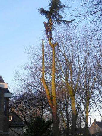 van dijk tuinen aan het werk 06 van dijk tuinen aan het werk 06