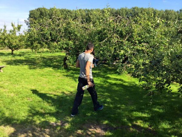van dijk tuinen aan het werk 28 van dijk tuinen aan het werk 28
