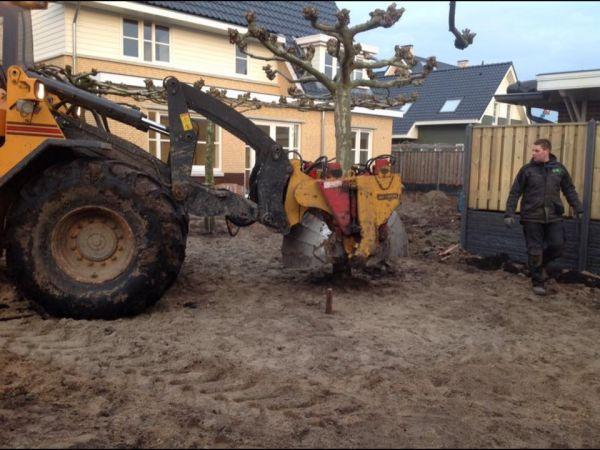 van dijk tuinen aan het werk 33 van dijk tuinen aan het werk 33