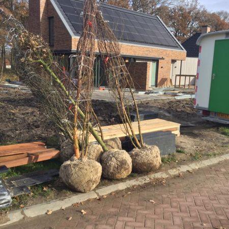 van dijk tuinen aan het werk 37 van dijk tuinen aan het werk 37