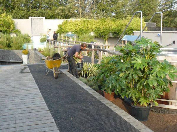 van dijk tuinen aan het werk 03 van dijk tuinen aan het werk 03