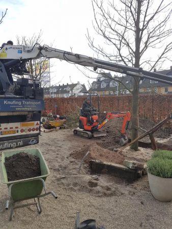 van dijk tuinen aan het werk 53 van dijk tuinen aan het werk 53