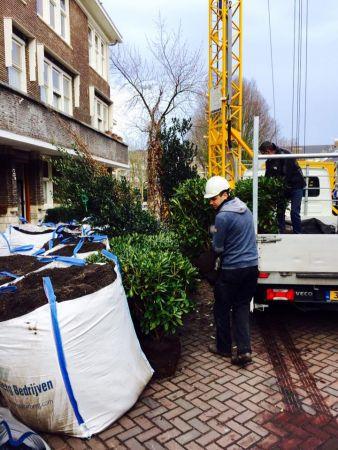 van dijk tuinen aan het werk 62 van dijk tuinen aan het werk 62