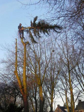 van dijk tuinen aan het werk 73 van dijk tuinen aan het werk 73