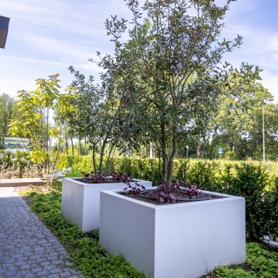 tuin schalkwijk 30 juli 2024