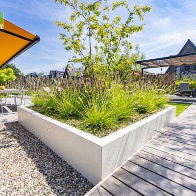 tuin schalkwijk 30 juli 2024